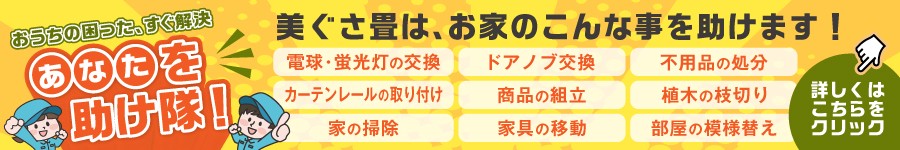 あなたを助け隊